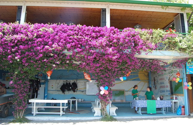 Torre Turbolo - Foto 60