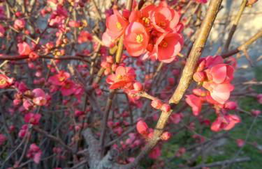 Autenticum Agriturismo Tolfa - Foto 51