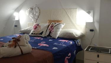 Lyon Vischi - Foto 2