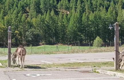 Appartement T2 neuf plein centre village - Photo 10