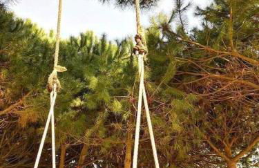 Casa do Lagar - Foto 33