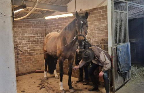 Sauna, Pools mit XXL-Terasse oder Kinderkino - Foto 61