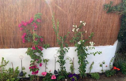 Menorca Palm Villa - Foto 35