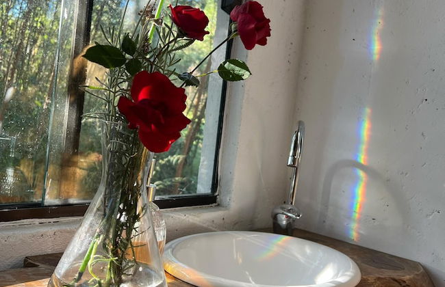 YAAHOO ECOLODGE - Foto 76