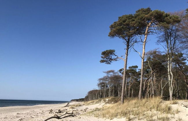 Katis Nest Comfortable Holiday Residence - Photo 21