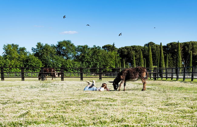 Il Borro - Relais & Châteaux - Foto 69