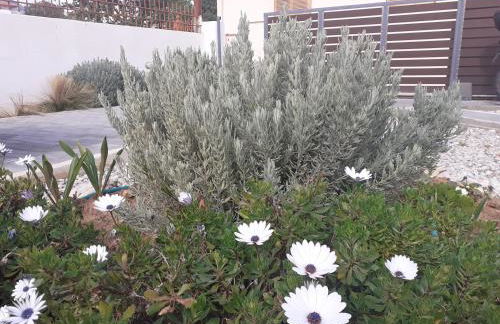 Michael's Greek House - Foto 27