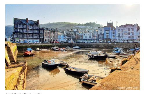Dart Haven - cheerful holiday bungalow in Galmpton - Photo 33