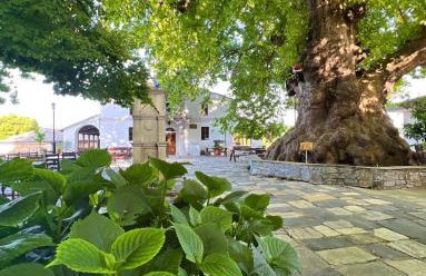 Alexias Home - Foto 19