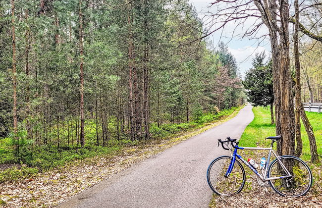 Kapitänshaus Leo - Foto 19