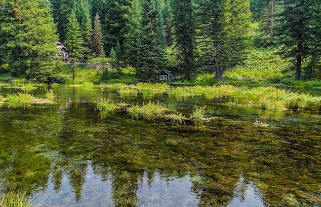 Timbers at Island Park Village Resort - Foto 37