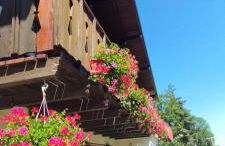 Chalet au bois des écureuils classé trois étoiles. - Foto 24