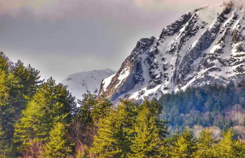 La maisonnette - Foto 25