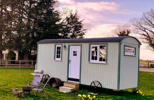 Starry Meadow & Rescued Animal Experiences - Foto 20