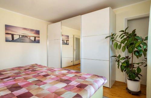 Mein lieber Schwan - Foto 17