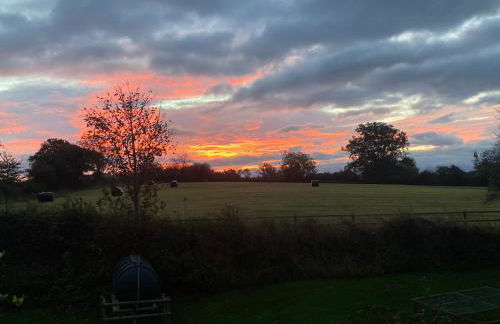 The Shepherd's Hut with cozy logburner - Foto 69