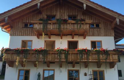 Taubennest - Photo 2