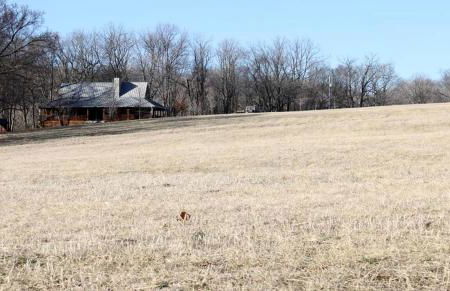 Idyllic Cabin Rental on a Charming Farm near White House, Tennessee - Photo 20