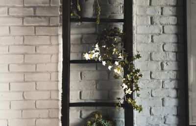 Agriturismo Statale 17 - Foto 31