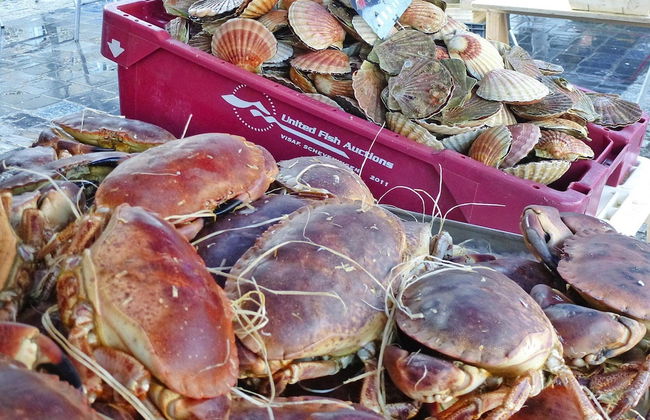 Comfortable Holiday Home, Pleneuf-val-andre - Foto 12