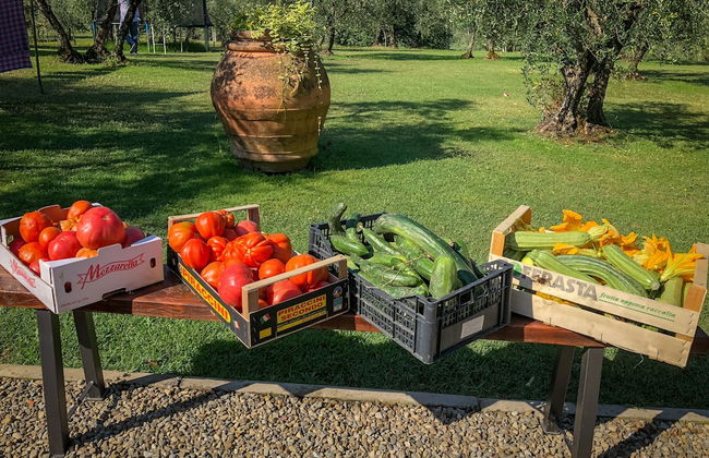 Renovated Farmhouse Near Florence - Photo 21