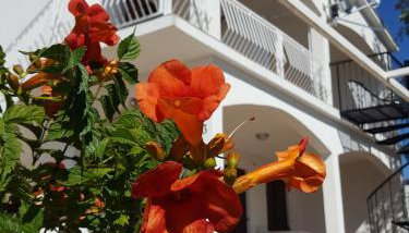 Apartments Merion - Foto 1