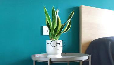 Casa Elio - Appartamento in centro con biciclette - Foto 5