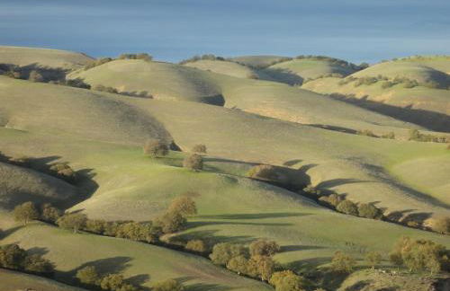 Top of the Hill - Foto 48