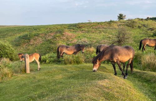 Winstitchen Cottage situated near the River Barle - Foto 43