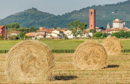 Tenuta Santa Colomba - Happy Rentals - Foto 43