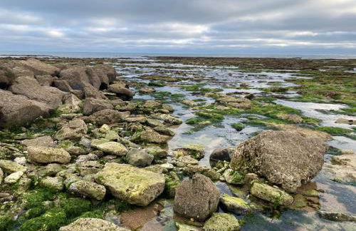 La Fleur des Marais - Maison tout confort au calme, grand jardin & balançoire - Foto 45