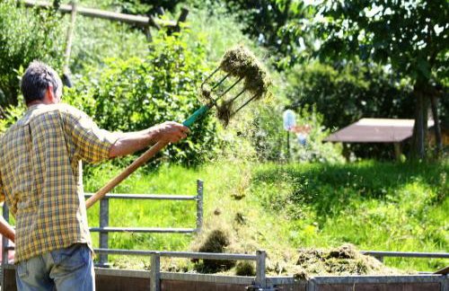 Forsthof Niendorf - Foto 29