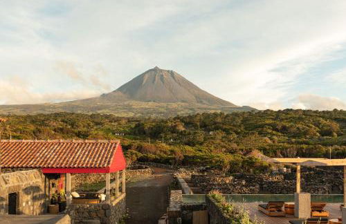 Adega do Fogo - Photo 14