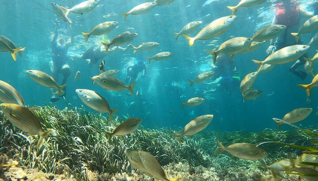 Excursión de día completo Altea, Moraira, Javea. Paseo en barco y comida incluida. - Foto 5