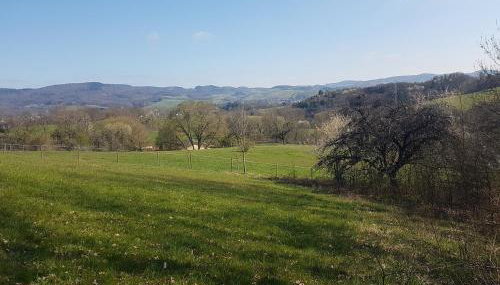 Weschnitzstubb - Photo 5