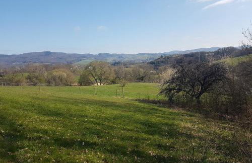 Weschnitzstubb - Foto 5