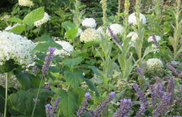 Qi Gong Haus - Foto 10