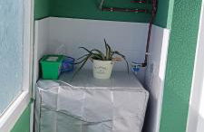 Concepción Arenal - Foto 27