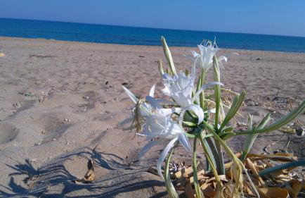 360 Panorama House - Gazing at Horizon and the Stars of the Galaxy in the night - Fresh Cool breeze most of the time - just 7 min from the beach - Foto 49