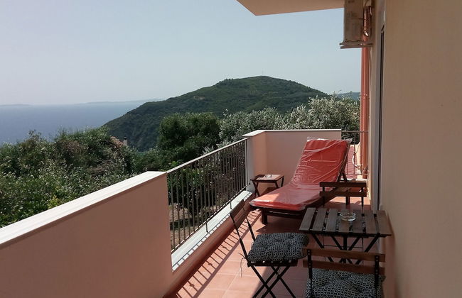 Olive Tree Apartment - Foto 1