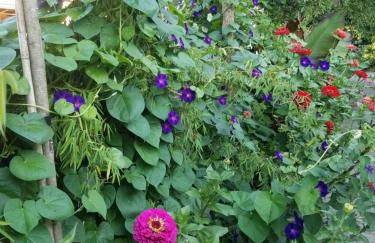 Webergarten - Foto 37