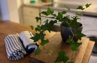 Comfy child/dog friendly garden flat heart Camden - Foto 15