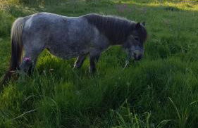 agriturismo heaven - Photo 66