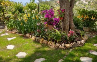 VILLINO BRUNETTO azienda agrituristica - Foto 30