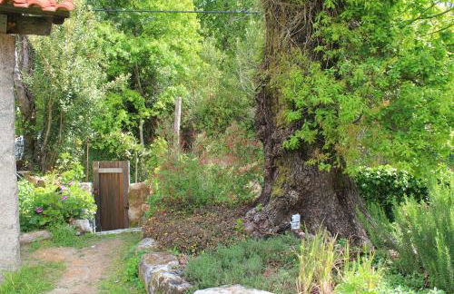 Casa de Vilar de Rei, férias em família com piscina - Foto 68