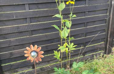 Drehbrücke - Foto 23