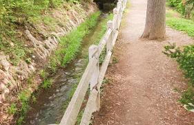 Parc paradis - Foto 13