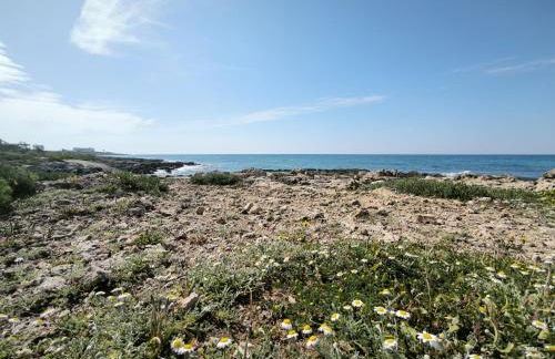 Perla Salentina Fronte mare Puglia On line - Foto 42
