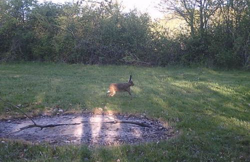 Old French Country Cottage for 2 nature lovers paradise - Foto 15