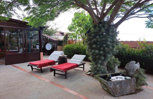 Finca Cebollino - Foto 16